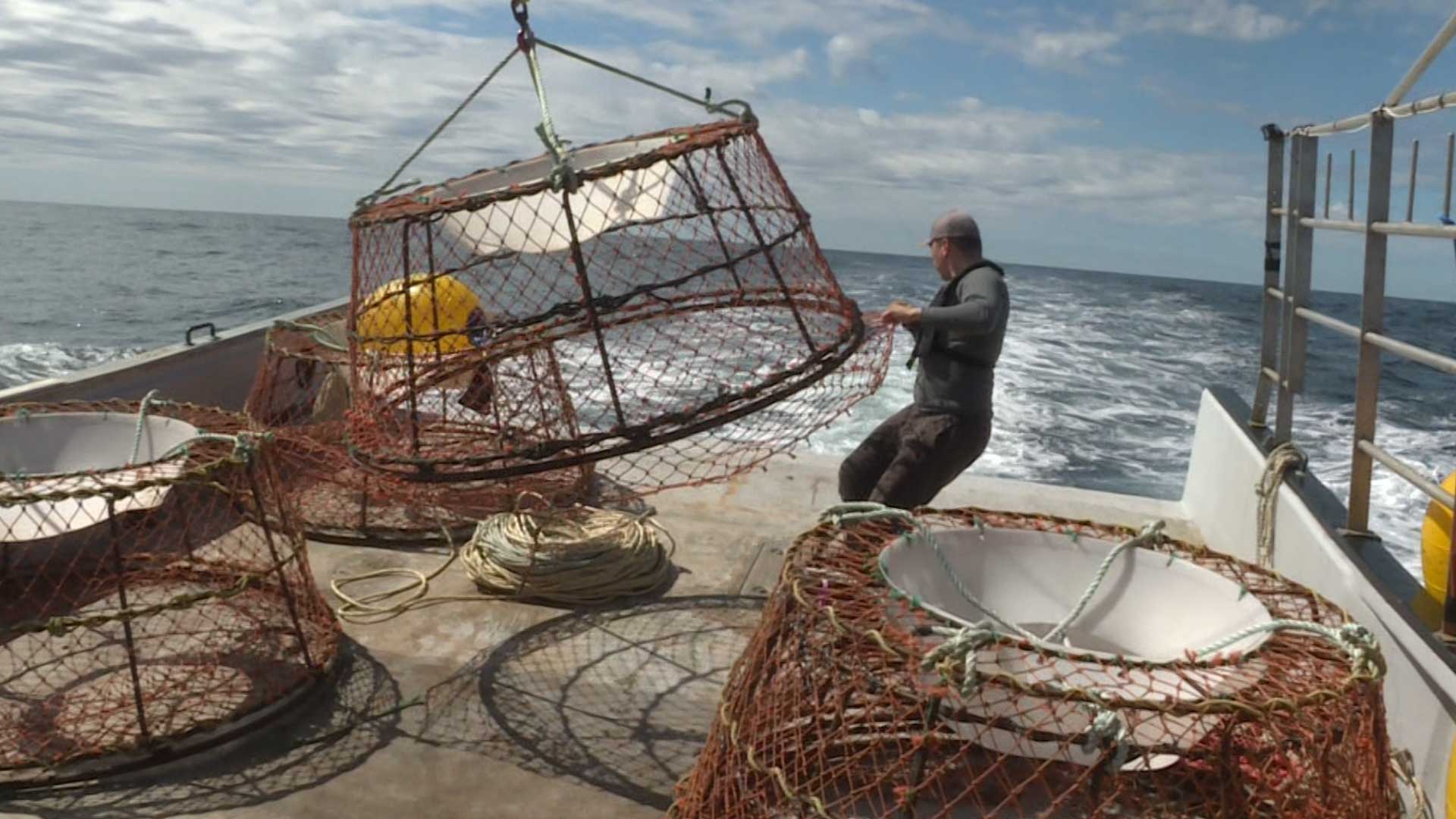 Crab traps seized by DFO during Mi'kmaw food fishery