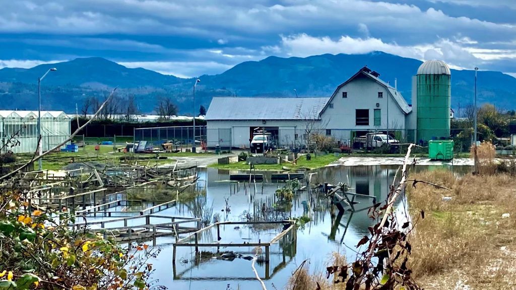 Flooded farmland is a part of the senate report on B.C flood