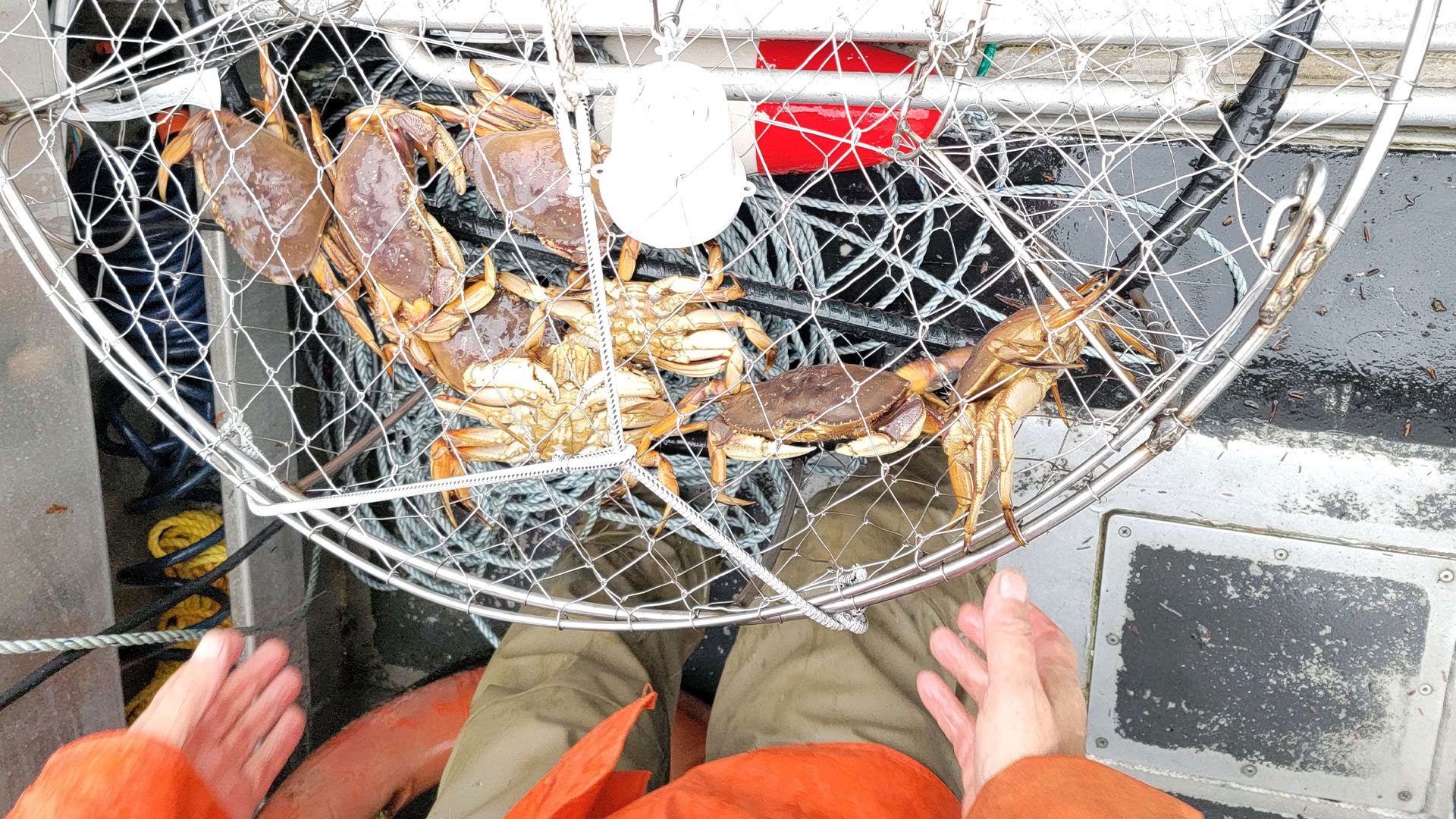 First Nations crab fishery 